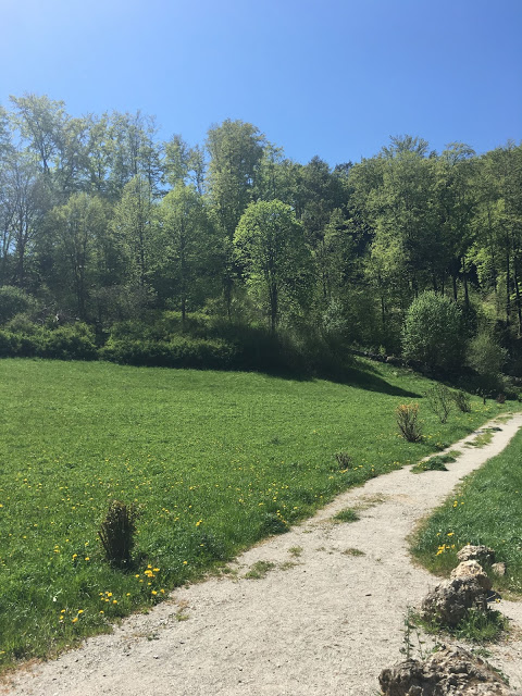 Fränkische Schweiz - Wanderweg bei Gössweinstein